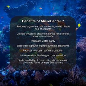 img 1 attached to 🐟 MicroBacter7 - Bacteria &amp; Water Conditioner for Fish Tank or Aquarium Boosts Biological Filter Media Efficiency for Freshwater and Saltwater Fish Tanks