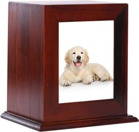 img 4 attached to 🐾 BRKURLEG Pet Wood Memorial Urn for Ashes, Photo Frame Keepsake Box for Cats and Dogs, Burly Wood Cremation Urns with Acrylic Glass Photo Protector – Ideal Funerary Caskets Supplies for Pet Lovers