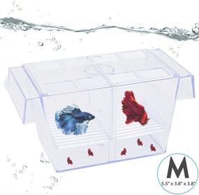 img 3 attached to Pawfly Fish Breeding Box Tank with Hatchery - Ideal Aquarium Incubator and Isolation Solution for Baby Shrimp and Guppies