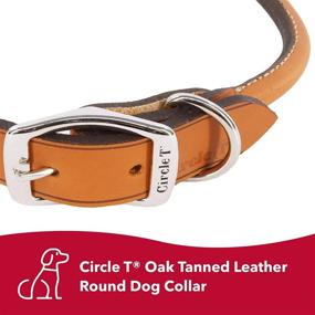 img 1 attached to 🐶 Coastal Pet - Circle T - Tan Oak Tanned Leather Round Dog Collar