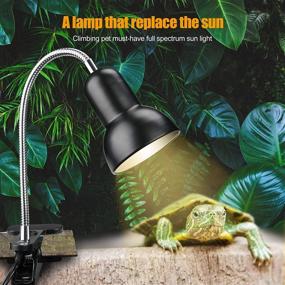 img 3 attached to 🦎 SDYXJ 25/50W UVA UVB Reptile Heat Lamp with 2 Bulbs - Basking Spot Hanging Lamp for Turtle Tank Habitat, Lizard & Snake - Pet Heating Lamp with Clip & Switch (E27, 110V)