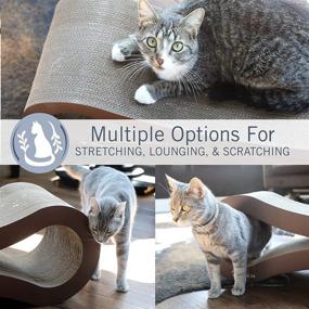 img 1 attached to 🐱 PetFusion Ultimate Cat Scratcher Lounge: Scratch, Play, & Perch in 3 Colors! Superior Cardboard & Construction, Outlasts Cheaper Alternatives with 1 Year Warranty