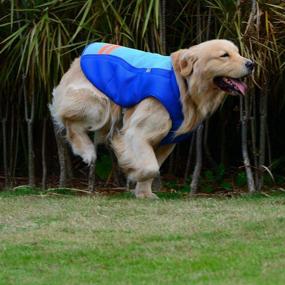 img 1 attached to 🐶 Stay Cool in Style: Medium and Large Pet Dogs' Breathable Blue Summer Jacket - Dog Cooling Vest for Outdoor Anti-Heat Comfort