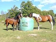 🐎 bigger bale buddy - large logo