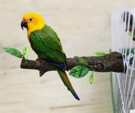 mlri bird perch for small parrots, 🐦 cockatiels, lovebirds, parakeets, budgies - pet simulation branch logo
