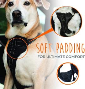 img 2 attached to Enhanced Safety and Versatility: Mighty Paw Car Dog Harness 🚗 with Adjustable Straps, Soft Padding, and No Pull Front Leash Attachment