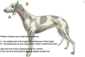 img 1 attached to Martingale Greyhound Whippet Matching Available Dogs in Training & Behavior Aids