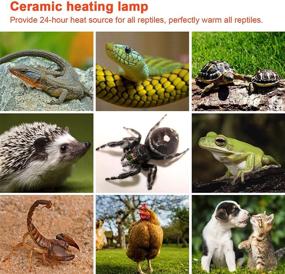 img 1 attached to Infrared Ceramic Heating Reptile Aquarium Reptiles & Amphibians