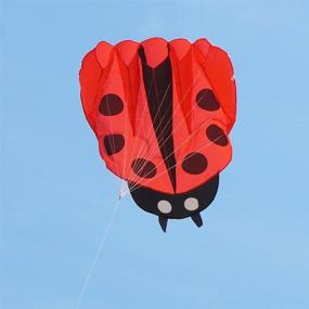 img 3 attached to 🐞 Besra Colorful Ladybug Kite: Ultimate Outdoor Fun for All Ages (Red)