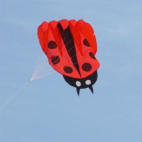 img 1 attached to 🐞 Besra Colorful Ladybug Kite: Ultimate Outdoor Fun for All Ages (Red)