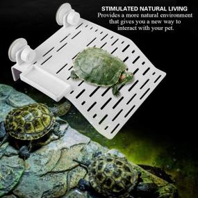 img 3 attached to Плавающий аквариум FTVOGUE Tortoise Platform