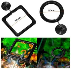 img 2 attached to Optimized for SEO: Set of 4 Fish Feeding Rings - Square and Round, Aquarium Fish Food Feeders that Float, with Suction Cup
