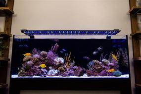 img 2 attached to 🐠 Enhanced Orbit Marine IC PRO Dual Light System for Reef Aquariums with Wireless Loop
