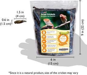 img 1 attached to 🦗 Meric Dried Crickets - Nutritious 1.5" x 0.5" Supplement for Poultry, Avian Species, Bearded Dragons and Geckos - Energy Boost for Fish and Hedgehogs - 8 oz