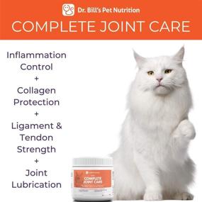 img 3 attached to 🐱 Feline Complete Joint Care by Dr. Bill: Advanced Hip & Joint Supplement for Cats with Green Lipped Mussel Extract, Collagen Type II, Chondroitin, Hyaluronic Acid, and Colostrum