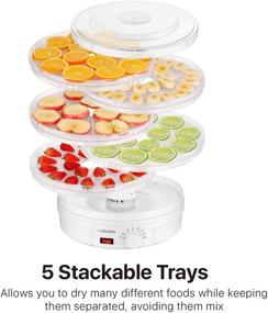 img 1 attached to 🍎 Flexzion Food Dehydrator Machine - Electric Fruit Dryer with 5 Trays, Adjustable Temperature Control, Roll Up and Mesh Tray - Ideal for Dehydrating Food, Jerky, Meat, Herbs, Spices, Vegetables, Snacks, and Dog Treats