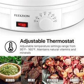 img 2 attached to 🍎 Flexzion Food Dehydrator Machine - Electric Fruit Dryer with 5 Trays, Adjustable Temperature Control, Roll Up and Mesh Tray - Ideal for Dehydrating Food, Jerky, Meat, Herbs, Spices, Vegetables, Snacks, and Dog Treats