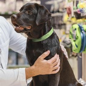 img 2 attached to 🐾 Versatile Green Printable Pet Collars: Compatible with a Range of Printers and Software