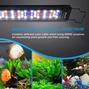 img 2 attached to 🐟 MingDak LED Aquarium Plant Light - Full Spectrum Lighting for Freshwater Tanks with White, Blue, and Red LEDs