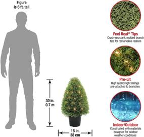 img 2 attached to 🌲 30-Inch National Tree: Exactly as Displayed in the Image