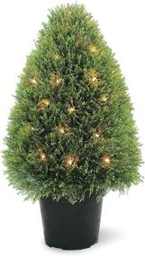 img 4 attached to 🌲 30-Inch National Tree: Exactly as Displayed in the Image