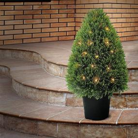 img 3 attached to 🌲 30-Inch National Tree: Exactly as Displayed in the Image