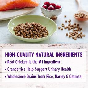 img 3 attached to 🐱 Wellness Complete Health Dry Cat Food: Nutritious Grains, Natural, American-Made, Enriched with Vitamins, Minerals, and Taurine, No Meat by-Products, Artificial Flavors, or Preservatives