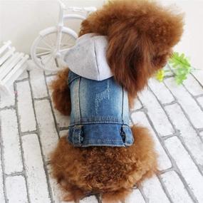 img 3 attached to 🐶 Tengzhi Denim French Bulldog Hoodies – Hooded Sweatshirt Vest for Small Dogs, Puppy Clothes