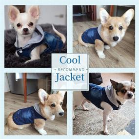 img 2 attached to 🐶 Tengzhi Denim French Bulldog Hoodies – Hooded Sweatshirt Vest for Small Dogs, Puppy Clothes