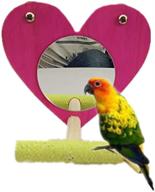 colorful accessories parakeet cockatiel heart shaped logo