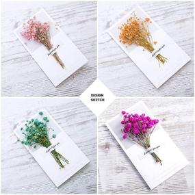 img 1 attached to 🌼 TAEERY Colorful Real Dried Pressed Flowers for Crafts - Pressed Daisies for DIY Candle, Resin, Jewelry, Nail, Pendant Crafts - Making Art Floral Decors (Style C)