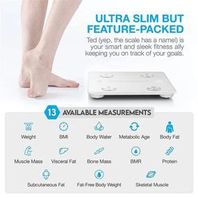 img 3 attached to Vont Smart Scale: Wireless Body Fat Scale for Weight Loss & Body Weight, BMI Digital Bathroom Scale with Precise Bluetooth Connectivity, 13 Measurements, LCD Backlight Display, Supports up to 400 lbs (White)