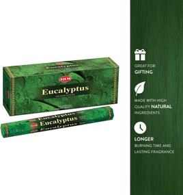 img 1 attached to Elevate Your Space with HEM Eucalyptus Incense Sticks - Pack of 6 (20 sticks each)