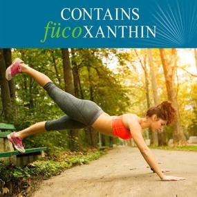 img 2 attached to 🌱 Garden of Life Fucoxanthin Supplements: FucoThin Diet Pill - Effective Weight Loss Solution - 180 Count