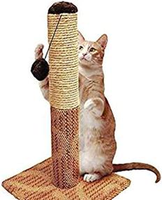 img 1 attached to Four Paws Super Catnip Cat Scratching Post: Sisal and Carpet, Brown 21 Inches Tall - Premium Quality