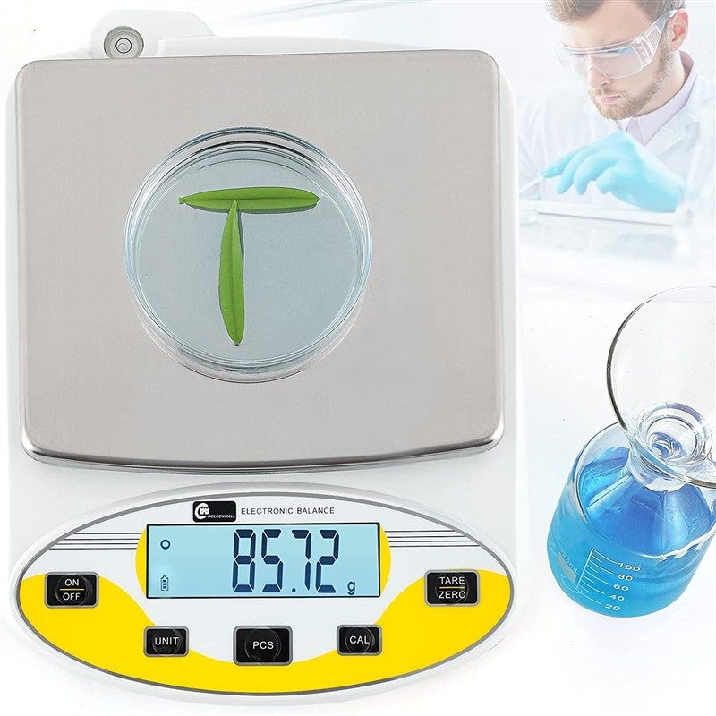 CGOLDENWALL Large Range Lab Digital Analytical Balance Lab