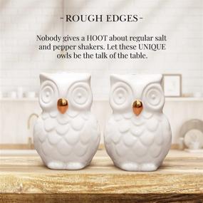 img 2 attached to 🦉 Rustic Owl Salt and Pepper Shaker Set - Charming Farmhouse Decor for Vintage Country Kitchens and Dining Rooms