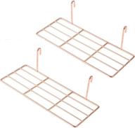 🌵 set of 2 rose gold wall grid hanging shelves – versatile grid board decor for succulents, cactus plants, and art display логотип