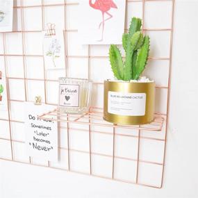 img 3 attached to 🌵 Set of 2 Rose Gold Wall Grid Hanging Shelves – Versatile Grid Board Decor for Succulents, Cactus Plants, and Art Display