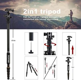 img 1 attached to ZOMEI Aluminum Portable Tripod: Professional Compact Travel for Nikon Canon Sony DSLR Cameras