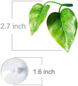 img 2 attached to Cousduobe Betta Fish Leaf Pad: Promote a Healthier Habitat for Bettas with Doule Leaf Design, Simulating Natural Environment