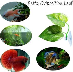 img 1 attached to Cousduobe Betta Fish Leaf Pad: Promote a Healthier Habitat for Bettas with Doule Leaf Design, Simulating Natural Environment