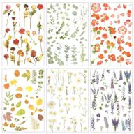 240pcs pet transparent flower stickers | assorted floral decor for scrapbooking, albums, phone case, card making | waterproof & decorative plant decals – 6 styles logo