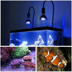 img 3 attached to 🐠 KINGBO 18W LED Aquarium Light Bulb - Full Spectrum 6 Band Refugium Light for Optimal Growth of Coral Reef, Saltwater Tank Plants