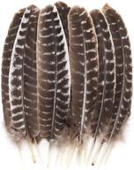 🦃 outuxed 10-12 inch natural turkey feather crafts: 15pcs diy decoration collection logo