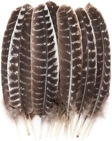 img 4 attached to 🦃 Outuxed 10-12 Inch Natural Turkey Feather Crafts: 15pcs DIY Decoration Collection