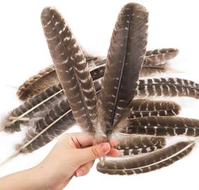 img 1 attached to 🦃 Outuxed 10-12 Inch Natural Turkey Feather Crafts: 15pcs DIY Decoration Collection