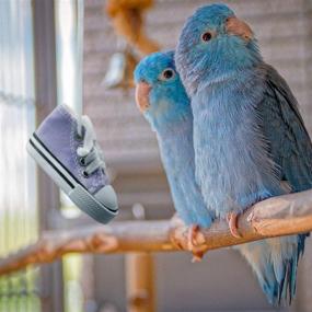 img 1 attached to 🐦 Colorful Cotton Bird Chewing Toys: 12-Piece Parrot Sneakers for Small Parakeets, Cockatiel, and More