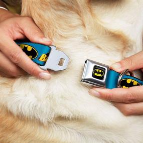 img 3 attached to 🐶 Buckle-Down Seatbelt Buckle Dog Collar: Vintage Batman Logo & Bat Signal Blue - Ultimate Style and Safety for Your Pup