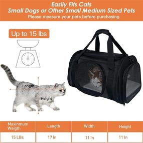 img 2 attached to 🐱 Airline Approved Cat Carrier for Small Dogs and Cats - 5 Ventilation Mesh, 4 Doors, Double Safety Zipper, Foldable Fabric